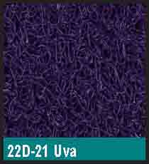Uva 22D21